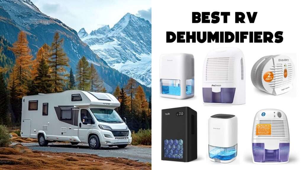 Best RV Dehumidifiers